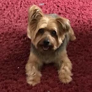 Meet your Posher, Barbara